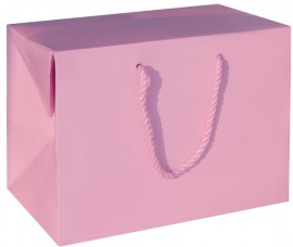 Model Bag Box