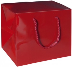 Model Bag Box Square